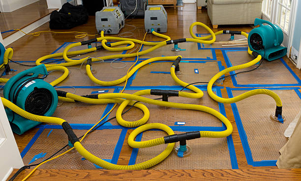 Professional Structural Drying And Dehumidification technician working in Bedford, NY